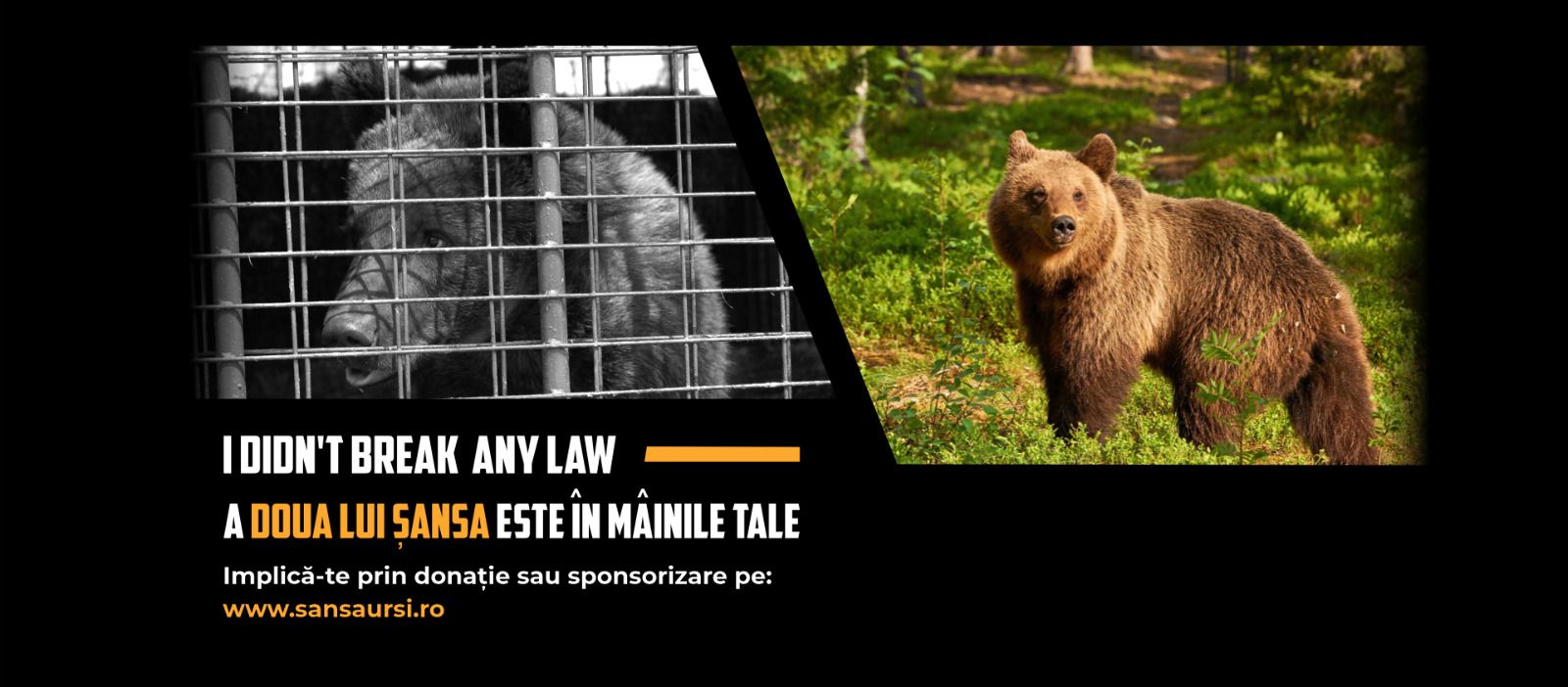 imagine campanie second chance