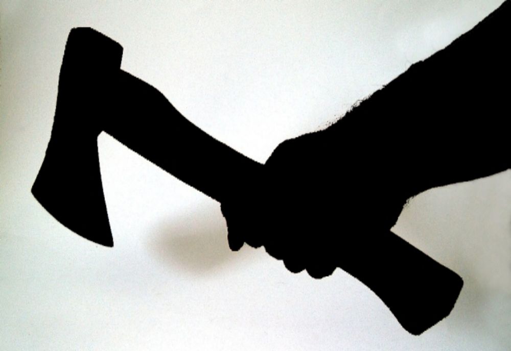 Agresor de 24 de ani reținut de polițiști după ce a lovit cu toporul în cap o fetiță de 10 ani!