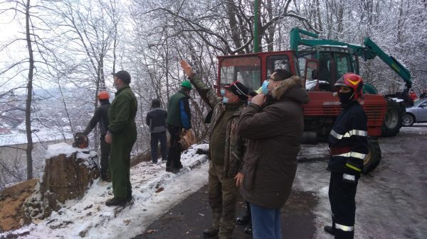 WhatsApp Image 2021-01-10 at 15.09.01