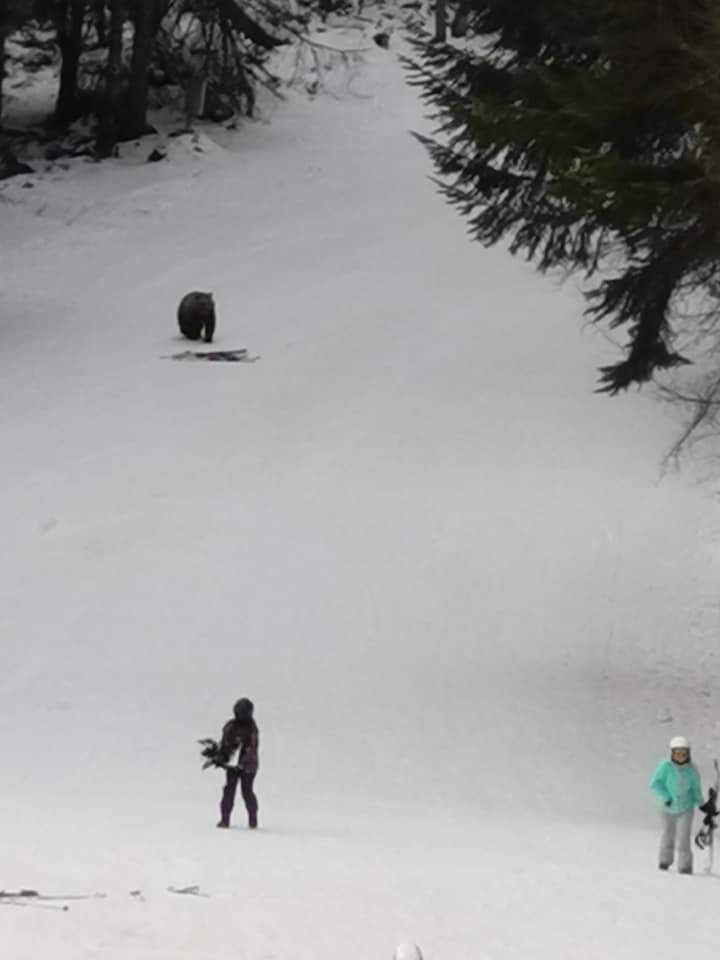 WhatsApp Image 2021-01-23 at 19.43.31