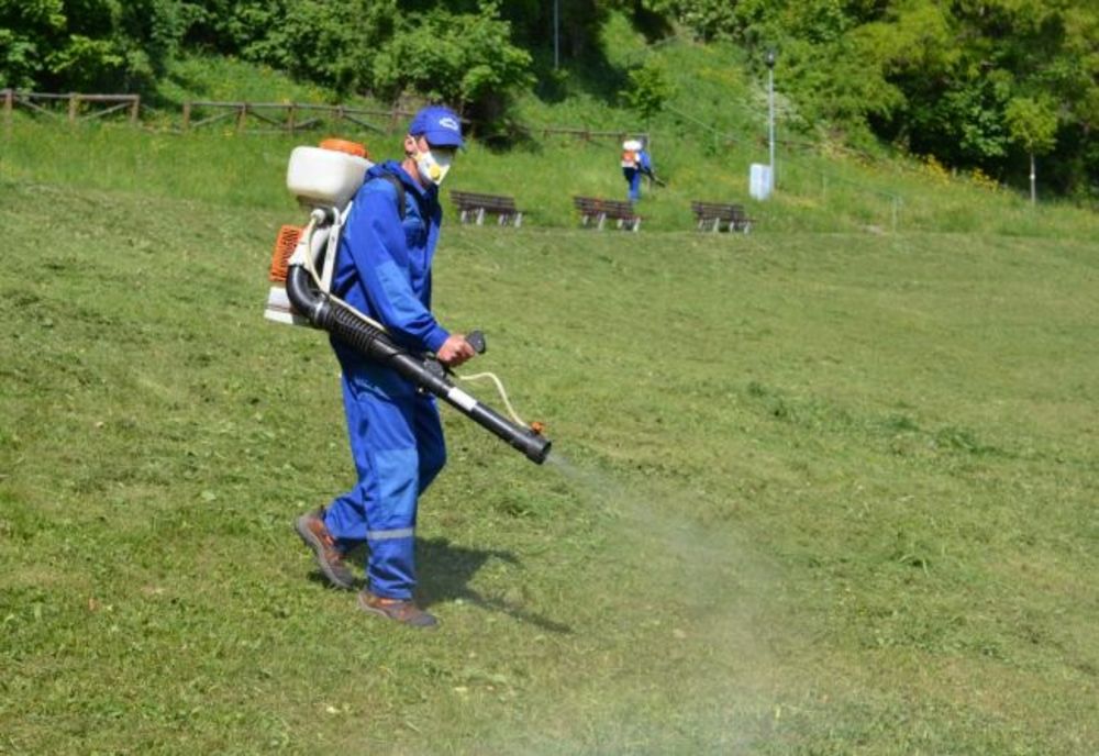 VIDEO Au început primele campanii de dezinsecție și deparatizare din municipiul Brașov
