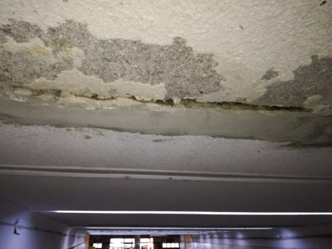 187433392_384776309538772_3106597673242642181_n