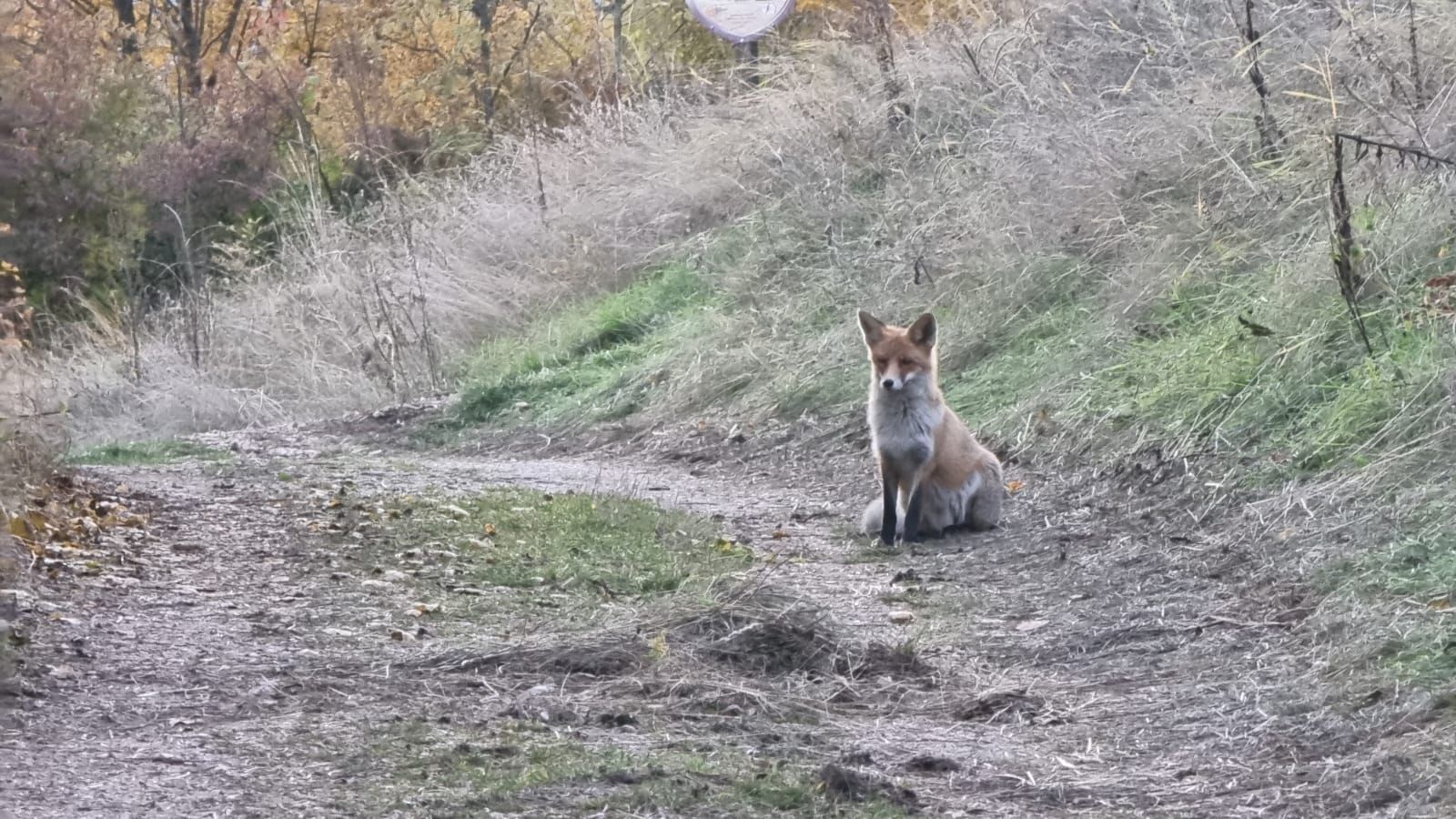 WhatsApp Image 2021-10-20 at 18.52.02