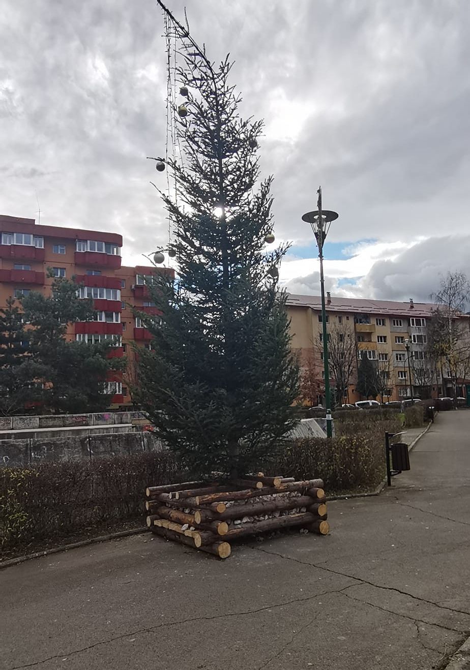 260618960_10224187030676891_2222141476793727364_n