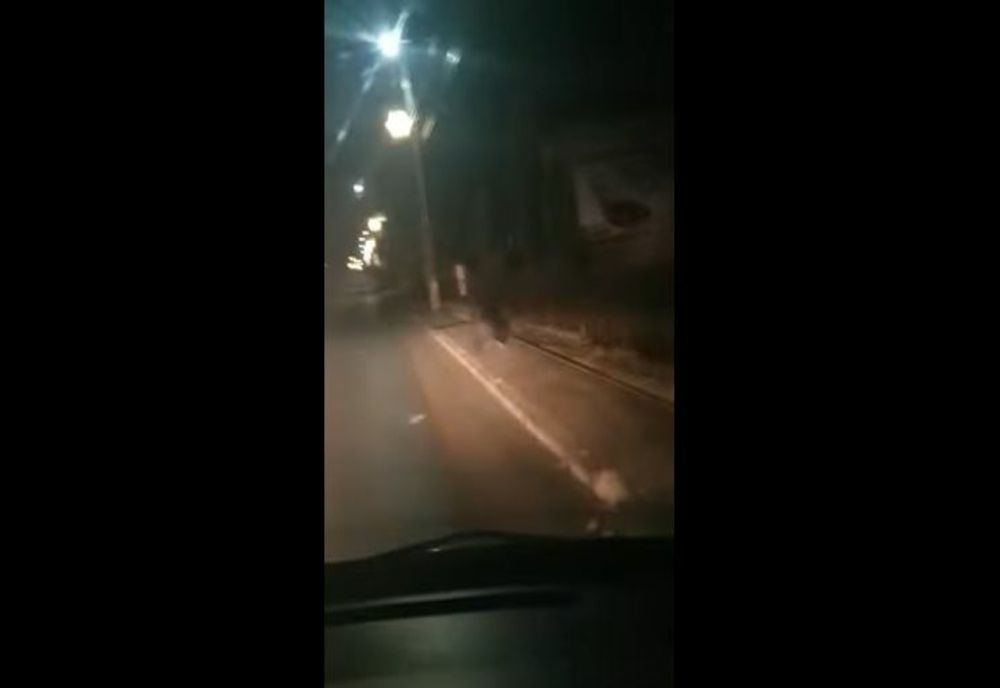 VIDEO Urs filmat în centrul unei comune turistice din județul Brașov!