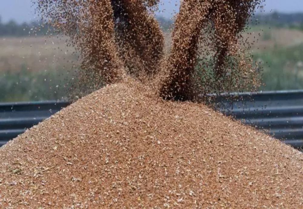 ONU, în contact cu Rusia asupra suspendării acordului de export a cerealelor ucrainene