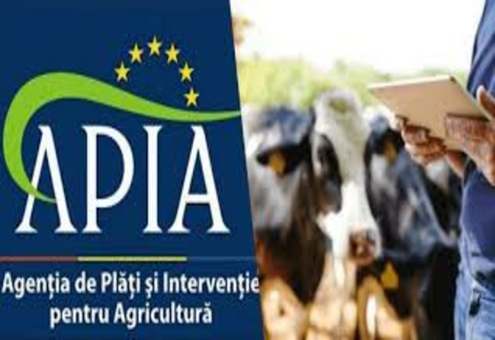 APIA eliberează adeverințe pentru solicitanții schemei de ajutor de stat în sectorul creșterii animalelor