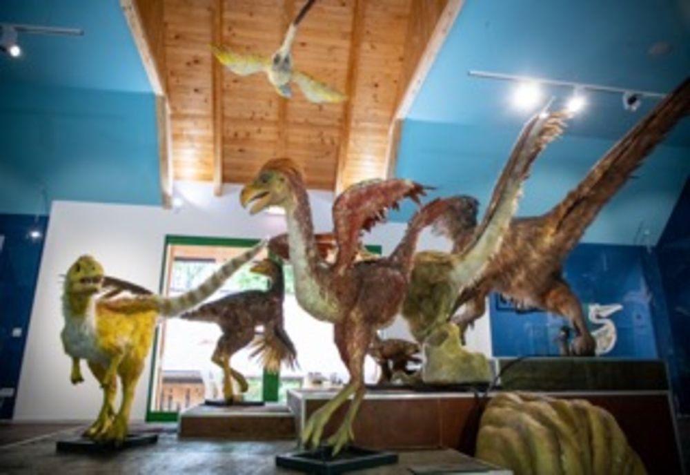 Dino Park Râșnov a fost destinația preferată pentru peste 450.000 de turiști în anul 2022