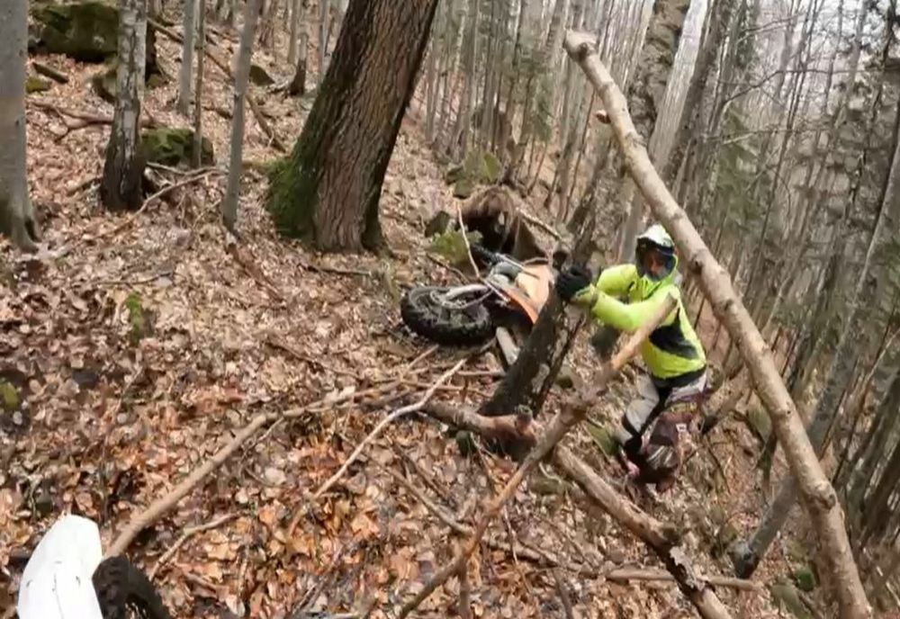 VIDEO Un urs surprins în bârlog a încercat să atace un motociclist enduro, în județul Brașov