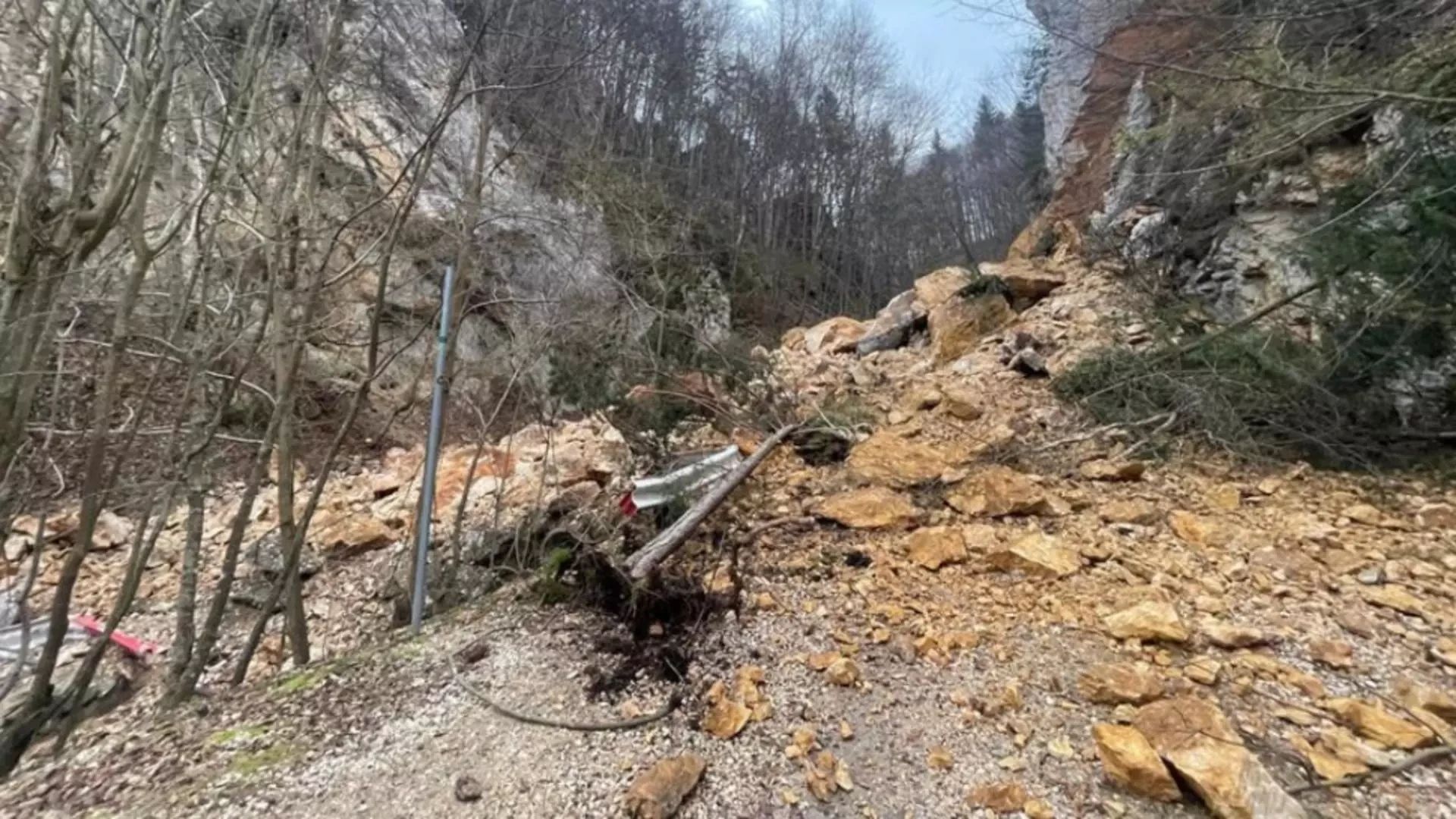 Alunecare de teren într-o zonă turistică din Brașov. Există riscul prăbușirii mai multor arbori