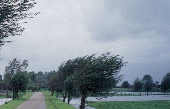 VÂNT PUTERNIC, până diseară, la Brașov