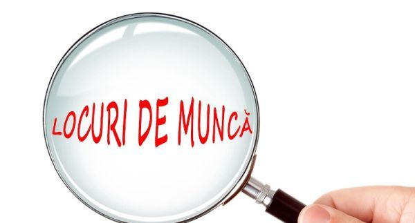 Locuri de muncă disponibile, în județul Brașov