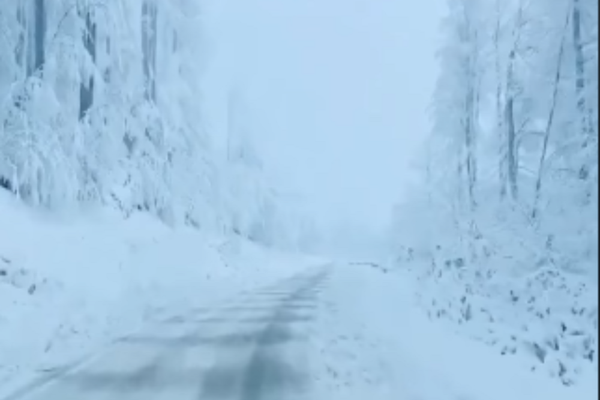 Temperaturi EXTREME, în toată țara. Cod galben de NINSORI viscolite, polei și vijelii