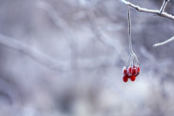 Vremea 4 februarie - Cer variabil cu înnorări temporare