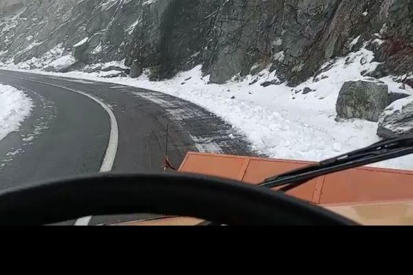 Ninge abundent pe Transfăgărăşan (VIDEO)