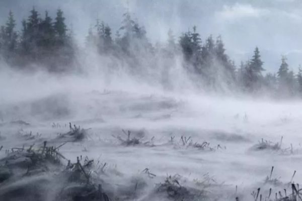 Ninsori puternice în țară, coduri galbene în vigoare - Imagini cu fenomenele extreme