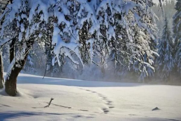  18 judeţe din țară sub imperiul zăpezilor. Unde va ninge