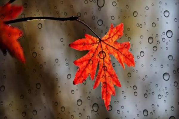 Vremea în minivacanța de Sf. Andrei - 1 Decembrie 2022. Prognoza meteo pentru următoarele patru săptămâni