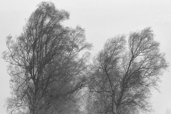 Cod galben de vânt puternic în mai multe zone din Muntenia, Transilvania și Dobrogea