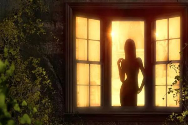 Cele mai rezistente PLANTE DE APARTAMENT. Plantează-le în ghiveci și vei avea mereu casa verde!