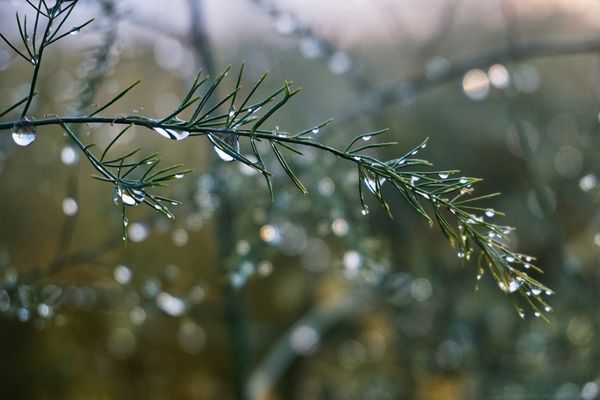 VREMEA 30 SEPTEMBRIE. TEMPERATURIE SE MENȚIN SCĂZUTE ÎN MAJORITATEA ZONELOR 