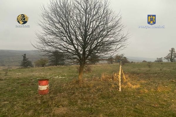 Minor forțat să lucreze la o stână din județul Brașov și să abandoneze școala! 5 percheziții au loc în județul Brașov, într-un dosar de trafic de minori