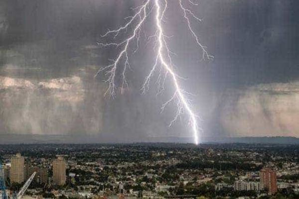 COD GALBEN DE PLOI, VIJELII ȘI GRINDINĂ ÎN ACESTE ZONE DIN ROMÂNIA