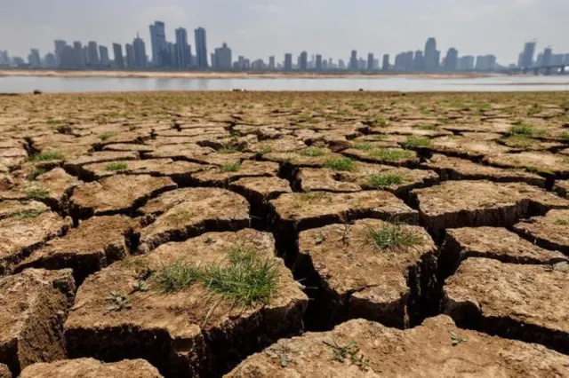 Criză alimentară la orizont. Cum ne va afecta „Super El Niño” în următorii ani