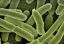 Apă contaminată cu E-Coli în Covasna