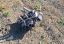 Alertă în Tulcea: obiect suspect asemănător unei drone și un proiectil cu explozibil, descoperite în localitatea Pardina
