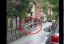 Urs surprins alergând pe un trotuar din Brașov, în zona Facultății de Silvicultură VIDEO