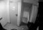 Un urs a intrat într-un hotel din Poiana Brașov