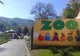 Eveniment INEDIT, astăzi, la ZOO Brașov