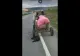 IMAGINI ŞOCANTE! Câine legat de căruță și târât pe asfalt