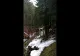 VIDEO Transport ILEGAL de bușteni, în Piatra Craiului