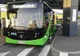 Mai multe autobuze care duc elevii, gratuit, la școală (FOTO)
