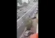 VIDEO Cal filmat în trafic, pe DN1