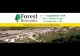 Târg forestier în aer liber, de astăzi, la Brașov VIDEO