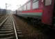 Cal lovit de tren, la Dumbrăvița