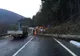 Trafic îngreunat din cauza unor copaci căzuţi pe carosabil