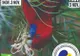 Expoziție națională de păsări exotice, de astăzi, la ZOO Brașov