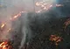 FOTO Incendiu de vegetație uscată