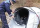 VIDEO Povestea femeii care a trăit trei luni, într-un cort, la marginea unei păduri din Brașov