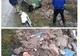 Bărbat amendat cu 3.000 de lei de jandarmi!