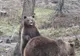 Activități inedite, mâine, la Zoo Brașov