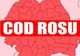 Hidrologii avertizează! Cod roșu de inundații, în județ!