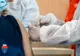 Reacție adversă severă după vaccinarea cu Pfizer, la Brașov! Un tânăr a fost inconștient, ieri, câteva secunde!