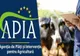 Închisoare cu suspendare pentru un brașovean care a prejudiciat APIA cu peste 140.000 de lei