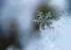 Temperaturile au coborât sub 0°C la Brașov și Făgăraș. Dimineață cu temperaturi de iarnă în județ