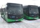Noile autobuze ale Regiei Autonome de Transport Brașov vor fi scoase în trafic
